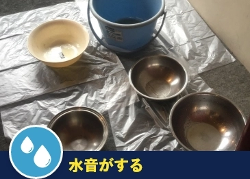 水音がする
